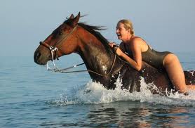 ride horse beach swim beach horse beach