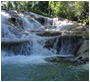 free dunns river tour