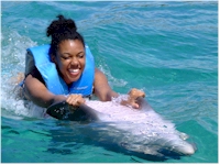 swim with dolphins jamaica , dolphin park