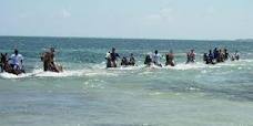 Shore excursions falmouth Horseback swim ride beach 