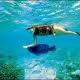  snorkeling Montego Bay jamaica shore