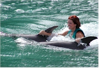 Cruise Excursions in Jamaica